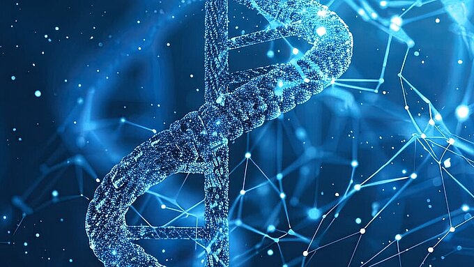 PI Ceramic Akademie 2024